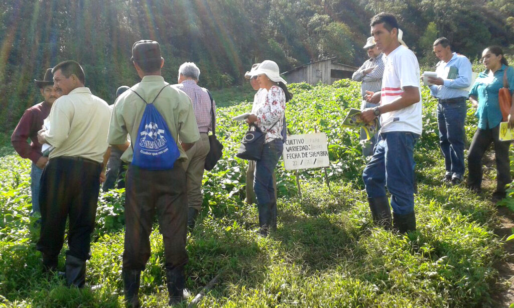 honduras_1-02