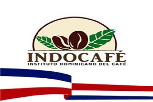 indocafe-g