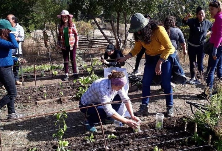 intercambios-jovenes-rurales-maule-1