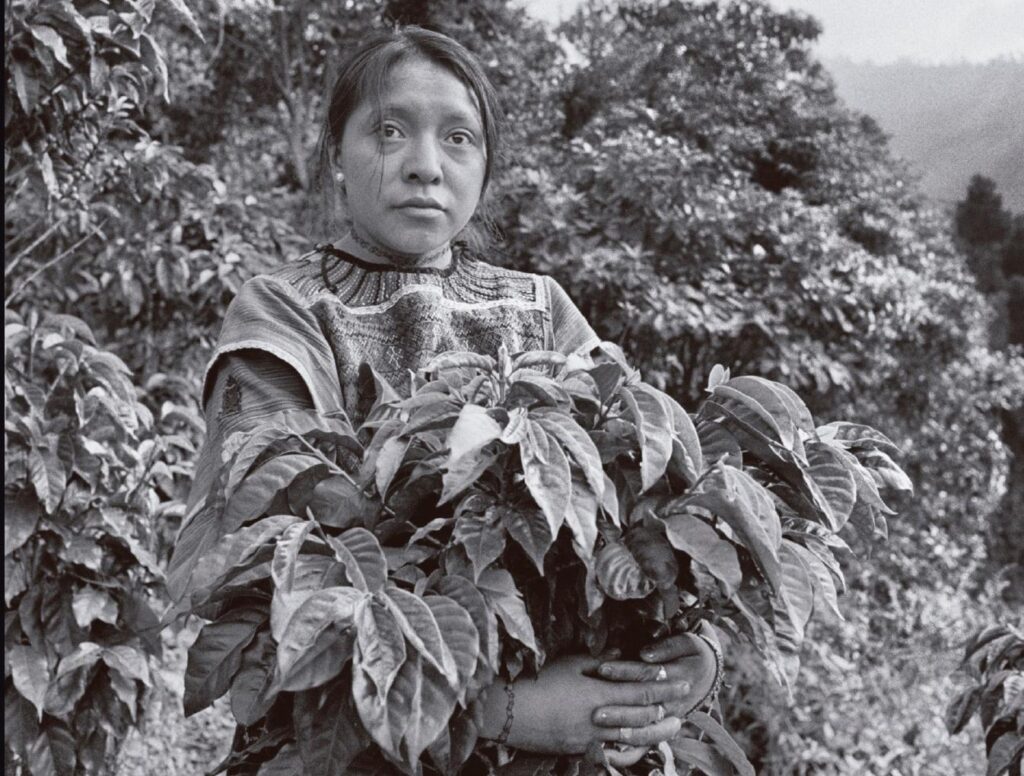 luchadoras-espanol