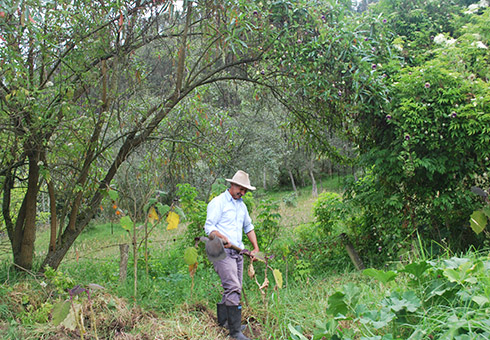 nota_actores_sector_agro