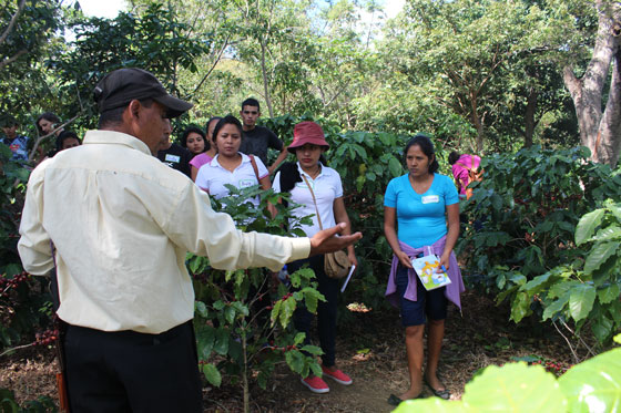 nota_encuentros_asociativos_esa_1_dic_17