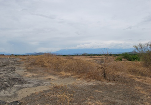 nota_sistema_cambio_climatico