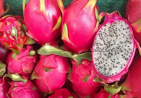 pitahaya_o_fruta_del_dragon