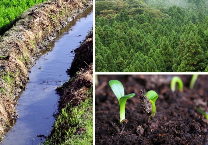 plan-agua-bosque-suelo_1