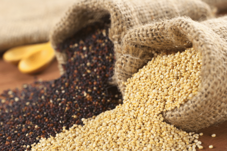 quinoa_5857344-copia