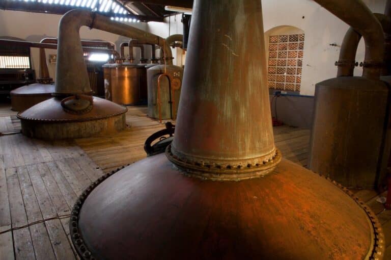 rum_production_2