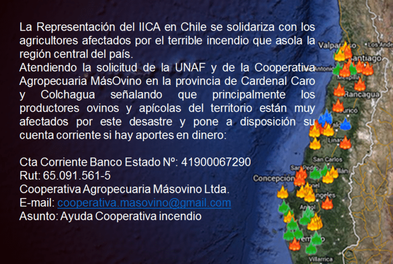 solidariza_incendio_chile_2_0