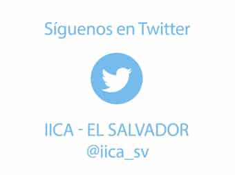 tw_iica