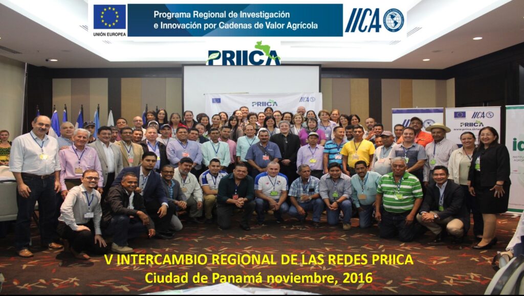 v_encuentro_regional_priica