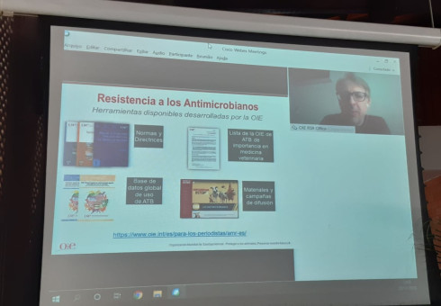 O representante da Organização Mundial de Saúde Animal para as Américas, OIE, Martin Minassian, participou via videoconferência.