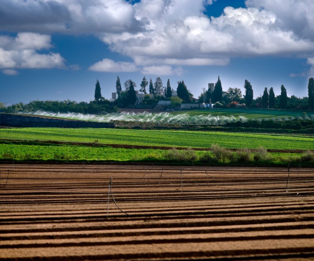 “A mitad del camino”