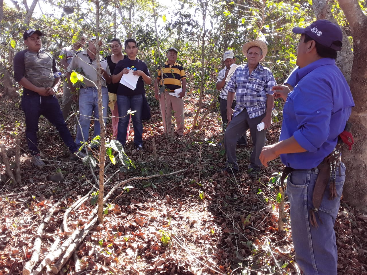 Evaluación de finca para manejo de cultivo de café  como parte de la Escuela de Caficultura en El Salvador