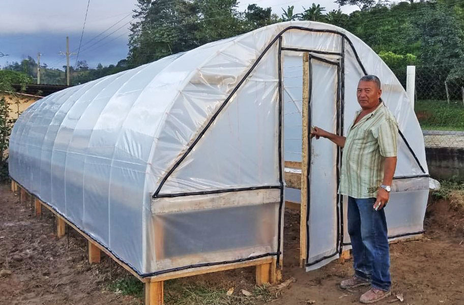 Las secadoras solares son una opción económica para los productores, porque se pueden hacer con materiales a la mano del caficultor, como madera, tubos PVC y mallas. Tienen una duración de 10 años.