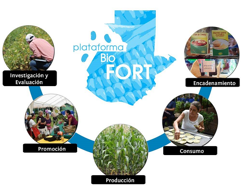 Biofortificación