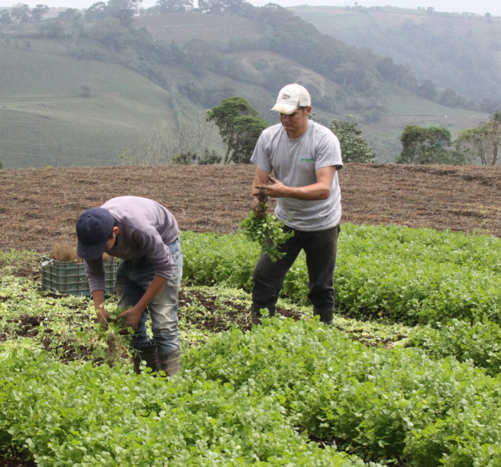 ¡Gracias! Homenaje a las mujeres y los hombres de la agricultura familiar