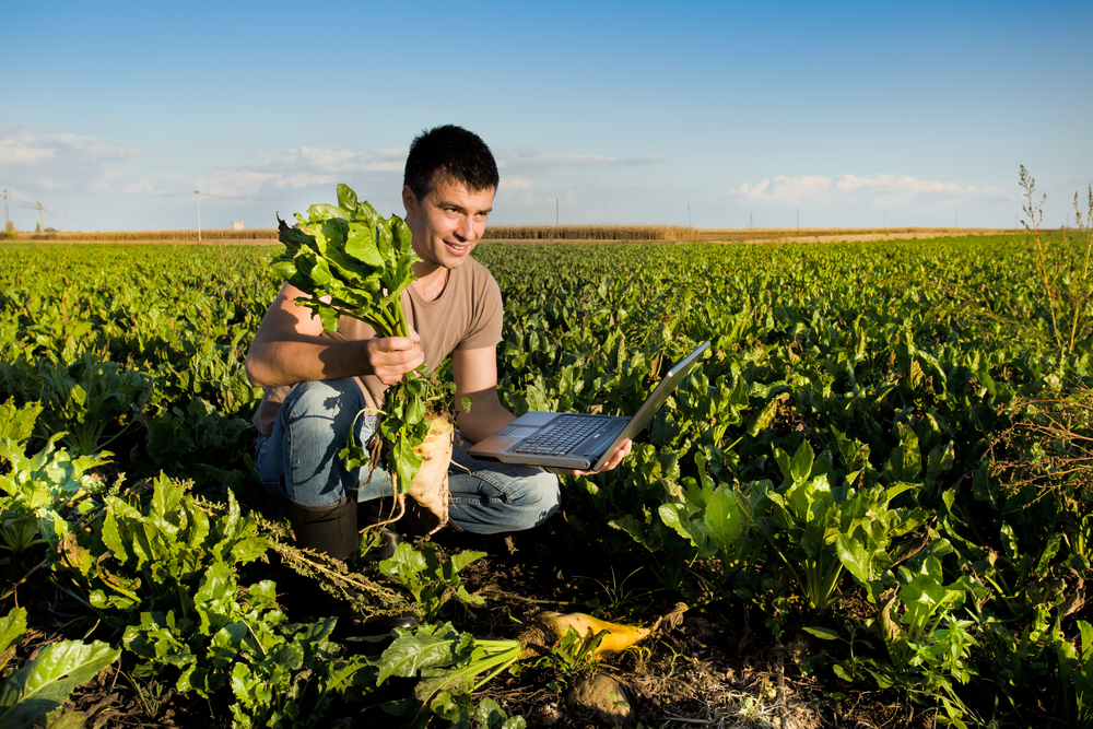 los foros son parte de las acciones del IICA para contribuir a derribar las barreras que enfrenta esta población, relacionadas con acceso a educación, tecnologías, empleo, recursos productivos, tenencia de la tierra y servicios de salud, entre otros campos.