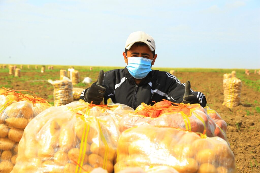 Mejor prevenir… Medidas para el sector agropecuario ante la Covid-19