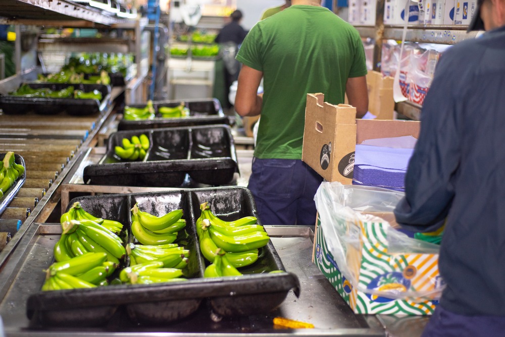 En la reunión quedó explicitada la preocupación que existe en los países latinoamericanos productores de alimentos respecto al acceso de sus productos a los principales mercados globales y sobre todo en las demandas que China pueda imponer en el futuro próximo.