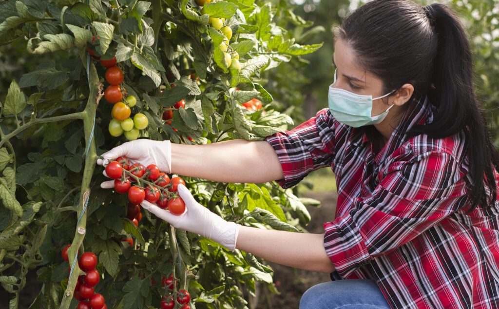 Mejor prevenir… Medidas para el sector agropecuario ante la Covid-19 Parte 2