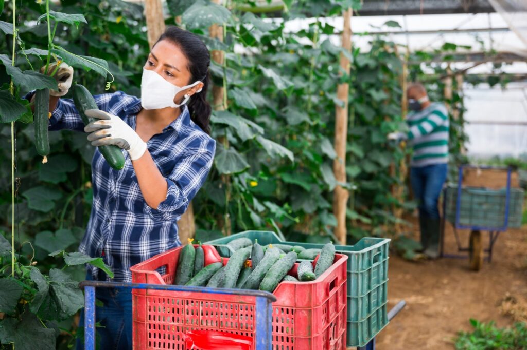 Mejor prevenir… Medidas para el sector agropecuario ante la Covid-19 Parte 3