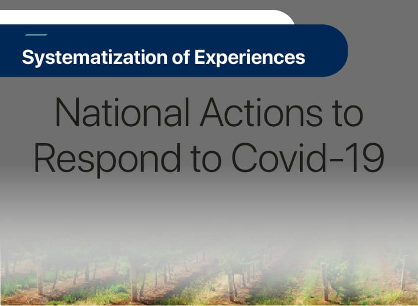 Systematization of initiatives related to the operation of agrifood systems