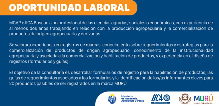 CONSULTOR MURU 150-01