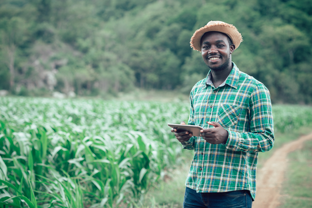 Com o programa Ater Digital, governo brasileiro quer alcançar 50% dos agricultores até 2030. MAPA tem parceria com o IICA para começar extensão rural digital no Nordeste