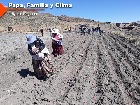 Comunidad de Aizacollo