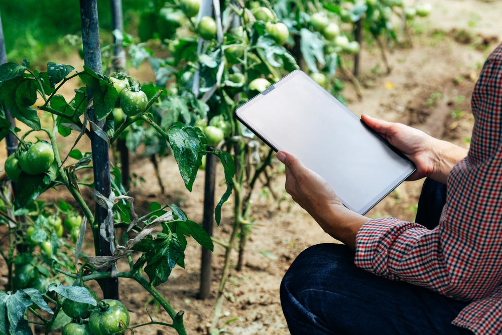 llegar con los alimentos en volúmenes adecuados a todas las personas que los necesitan y cómo asegurar que quienes los producen accedan a una vida próspera en la ruralidad