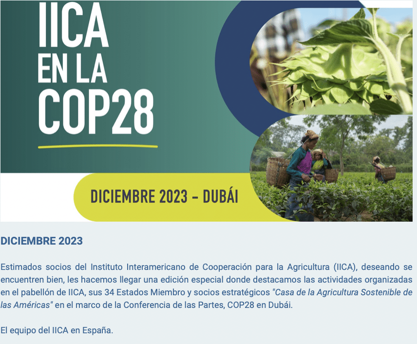 COP28