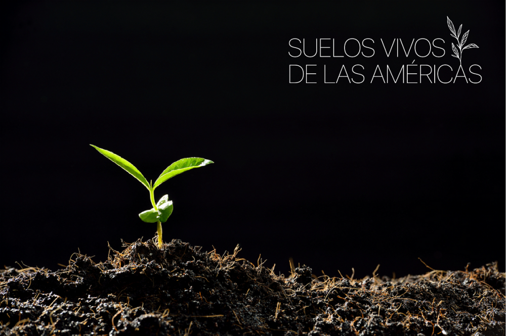 Los suelos son un recurso natural fundamental para el desarrollo del ser humano y mantener la salud de las tierras cultivadas es hoy uno de los desafíos más importantes que tiene la agricultura en las Américas.