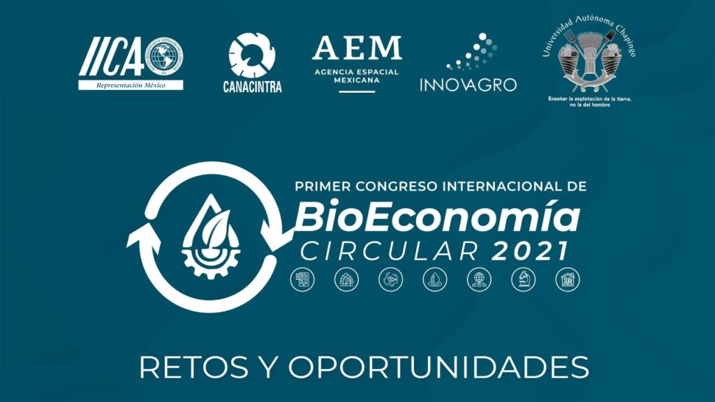 BIOECONOMIA_1280