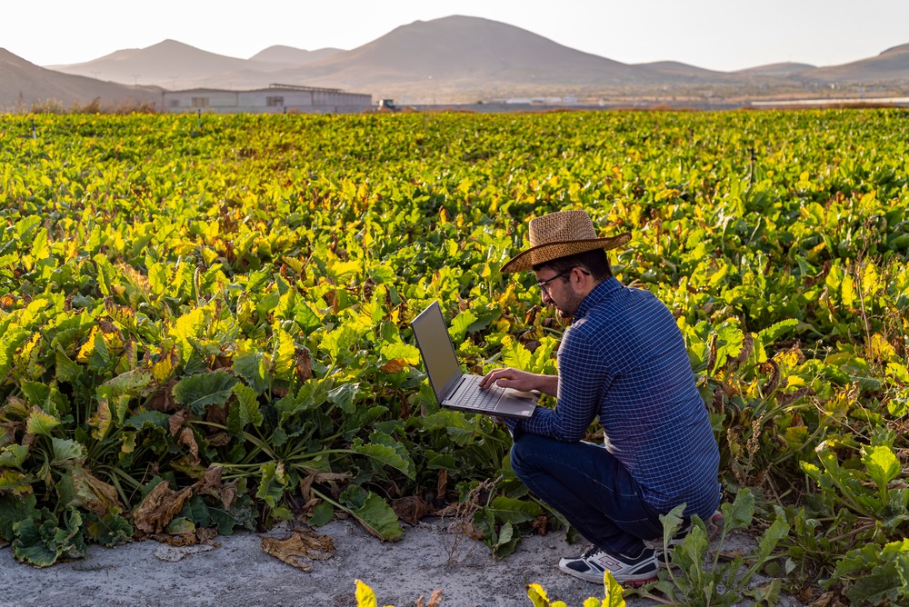 Los productores tienden a cambiar sus prácticas si advierten consecuencias favorables en sus fincas o en el ambiente, de acuerdo al estudio.