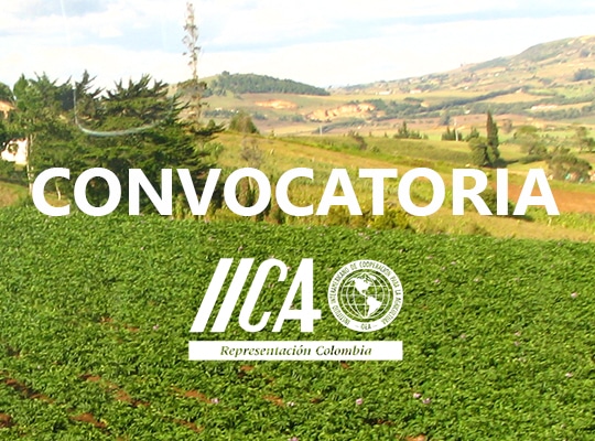 Estancia Profesional Junior Programa De Acción Climática Y Sostenibilidad Agropecuaria