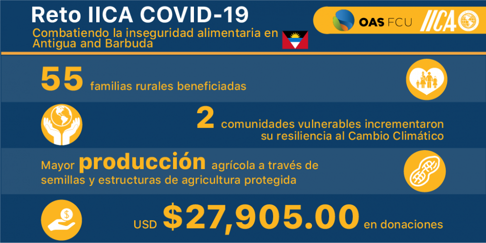 Crowd resultados 2 Esp