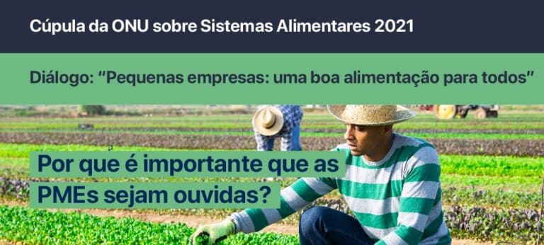 Diálgo de PMEs para Cúpula das Nações UNidas dos Sistemas Alimentares