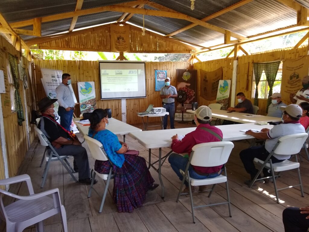 Productores de diferentes asociaciones de Alta Verapaz asisten a taller de socialización de resultados