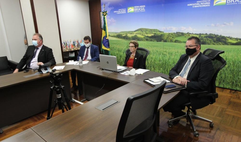 En la reunión participaron los Representantes del IICA en Brasil y Guyana, Gabriel Delgado y Wilmot Garnett, y el Director de Investigación y Desarrollo de Embrapa, Guy de Capdeville, además de funcionarios de diferentes áreas de ambos países y diplomáticos.