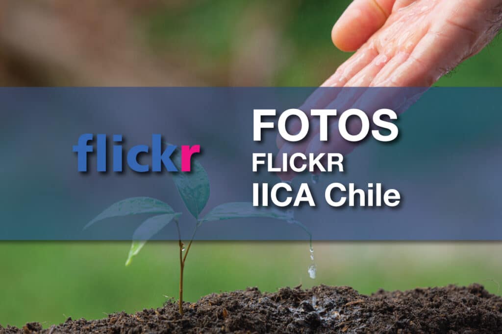 flickr-iica-chile