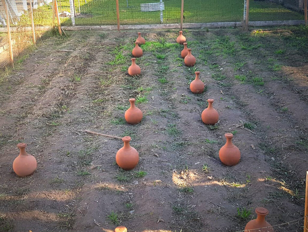 Riego con vasijas de barro, de la tierra a la tierra