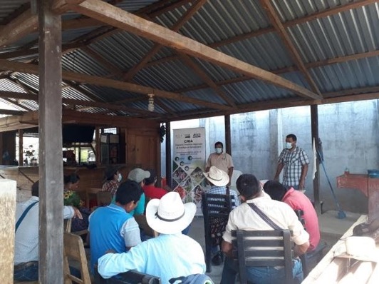 Se capacita a productores y productoras sobre manejo agronómico del cultivo del maíz.