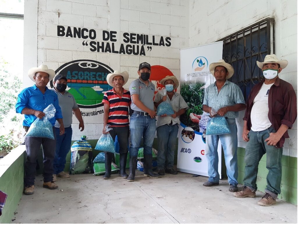 Agricultores reciben Semilla de maíz ICTA B7