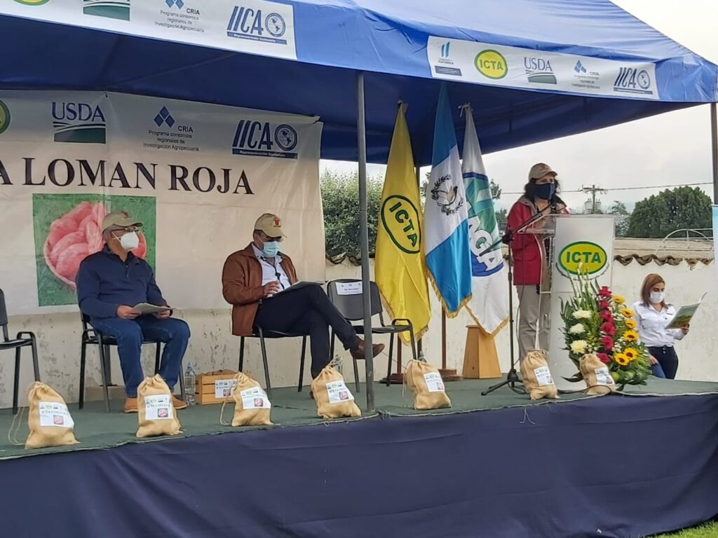 María Febres, Representante de del IICA en Guatemala, dio a conocer los logros alcanzados en la cadena de papa.