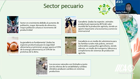 Dra. Sacha Trelles, Coordinadora Técnica del IICA en Costa Rica, habla sobre Servicios Veterinarios y Gestión de Riesgos con Enfoque en una Salud 