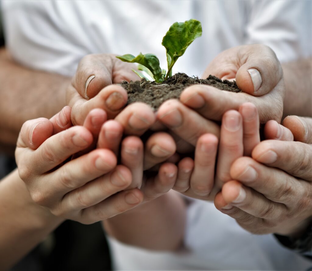 Ingenio y coraje, innovaciones de pequeños productores