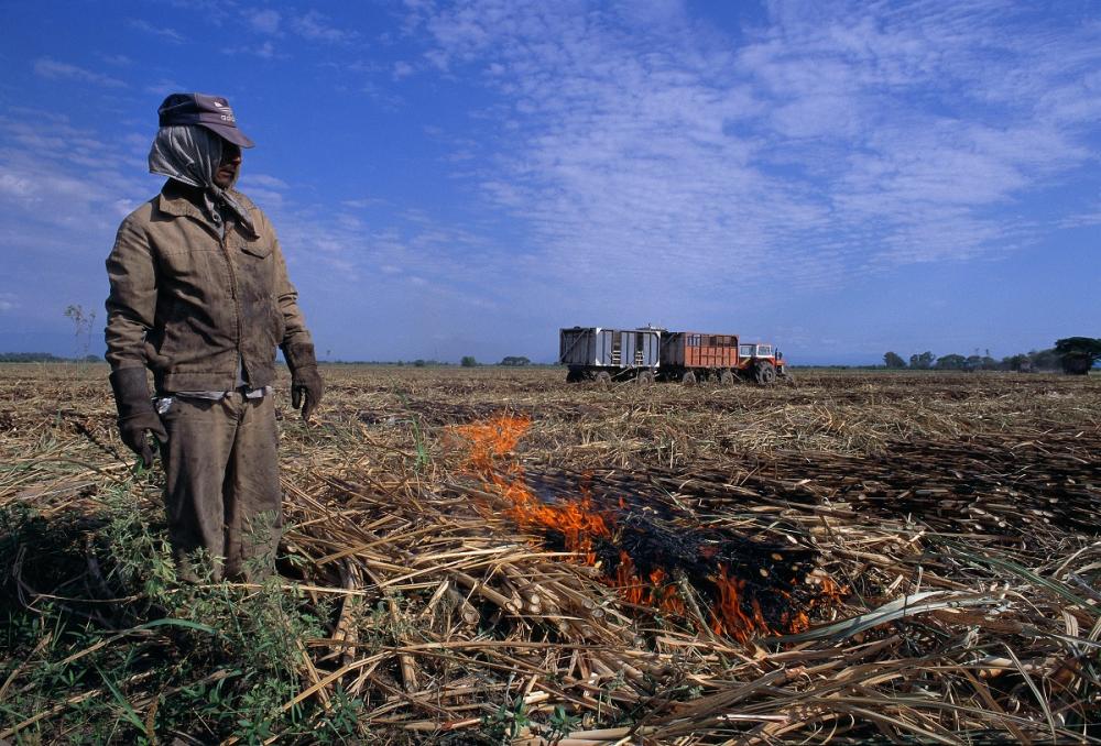 Foto tomada en la provincia de Tucumán en plena zafra azucarera en el año 1995. Forma parte de la serie “Hombres y mujeres de nuestra tierra” También fue una de las 10 fotos que integró la serie que ganó el 2° premio del concurso “El Campo Argentino” del diario La Nación en 1996.