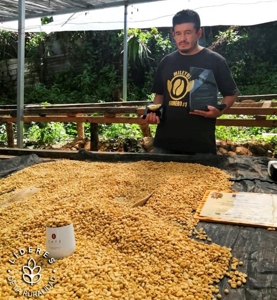 Ever Díaz, a los 38 años, es un exitoso caficultor salvadoreño cuyo producto cultivado en la finca Mileydi, de Chalatenango, es saboreado en países tan distantes y distintos como Estados Unidos, Rusia, Australia, Japón o Singapur, donde los consumidores valoran su calidad.