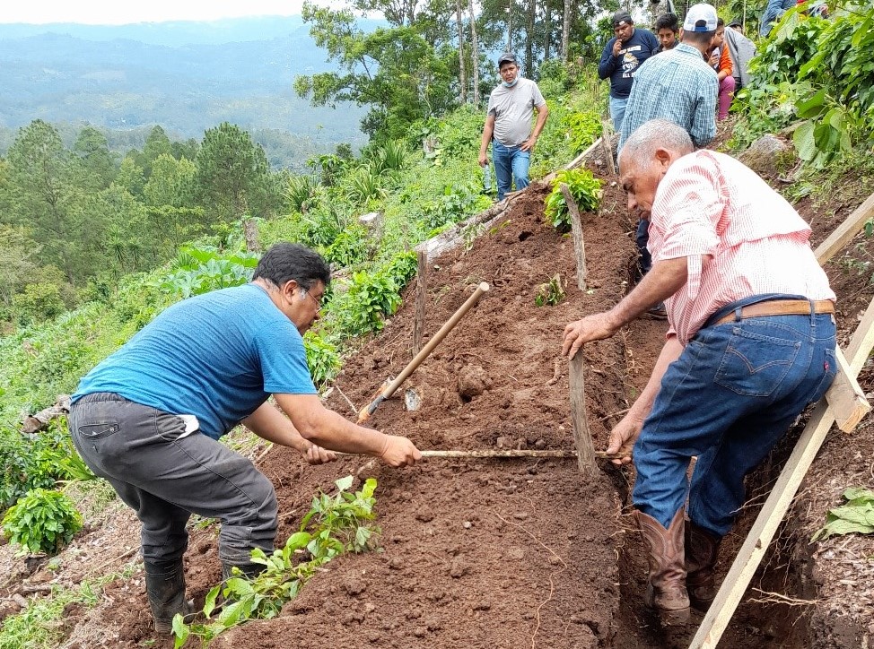 Buenas prácticas más protección financiera igual mayor resiliencia