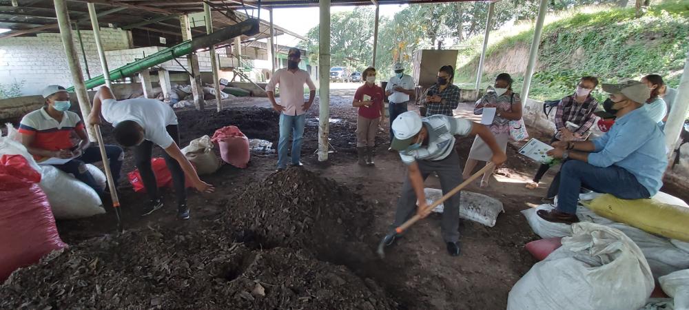 Los productores aprendieron nuevas técnicas agroecológicas. 